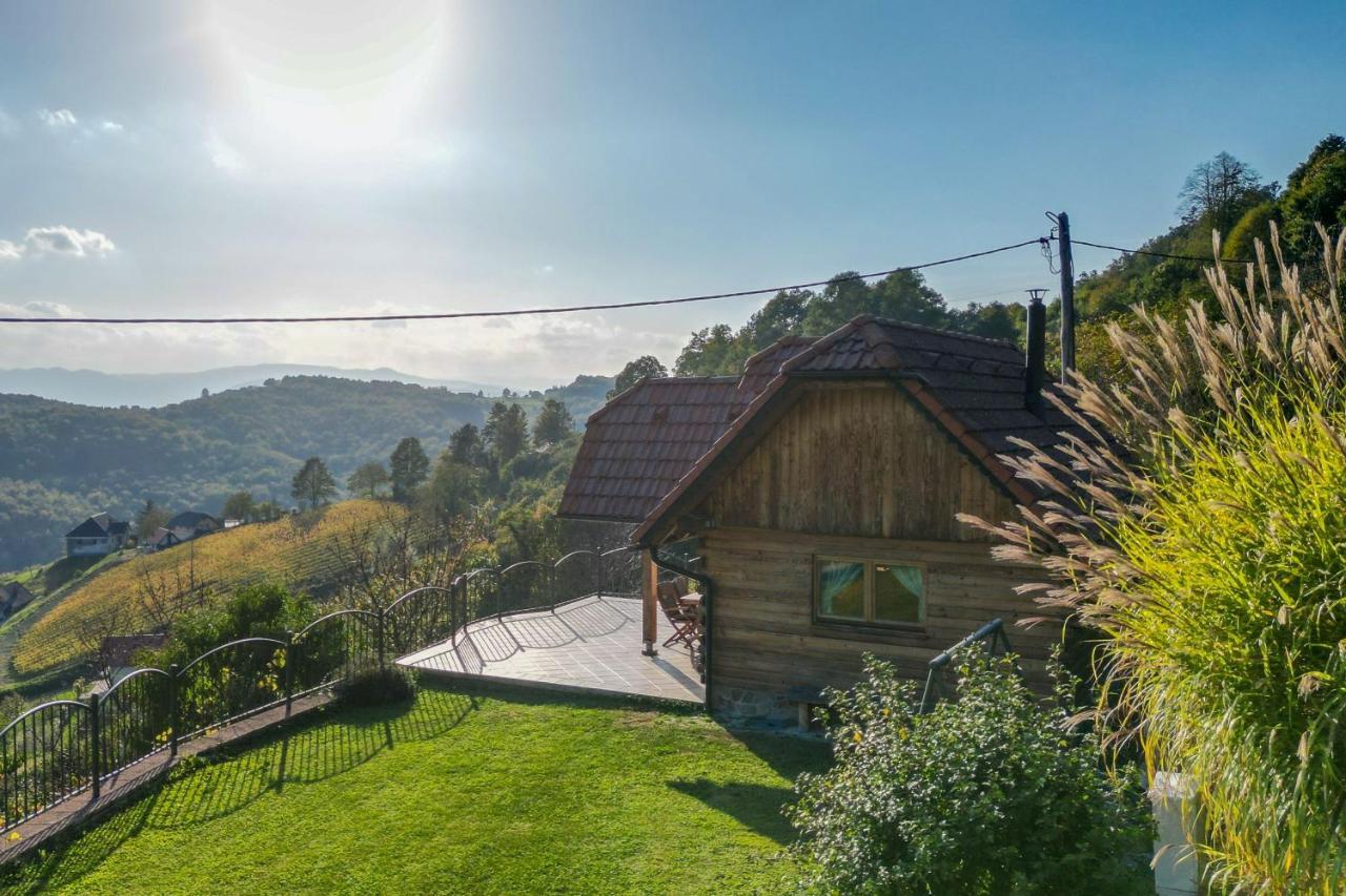 Vineyard Chalet Hansel And Gretel - Happy Rentals Otočec Exterior foto